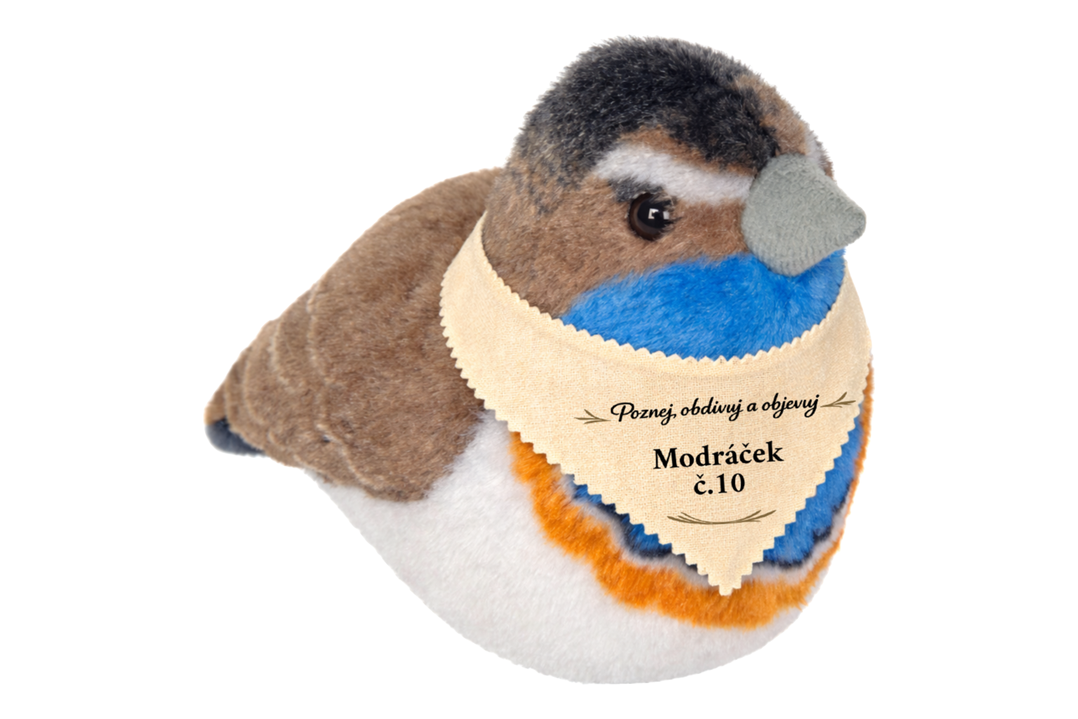 ptáček se zvuky Modráček se šátkem + pexeso Ptáčci