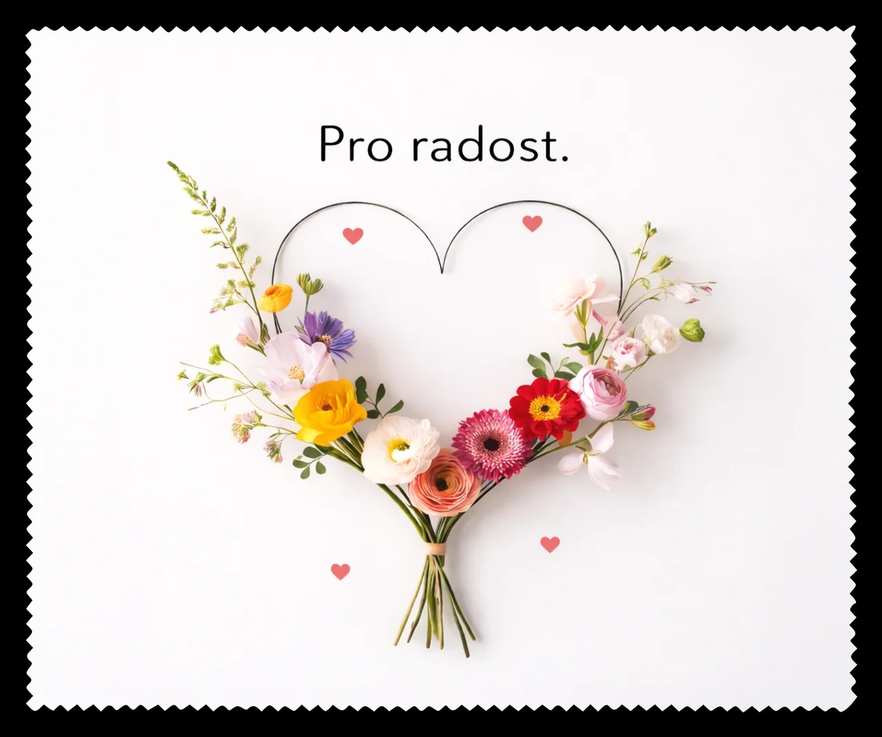 Čistící utěrka - pro radost