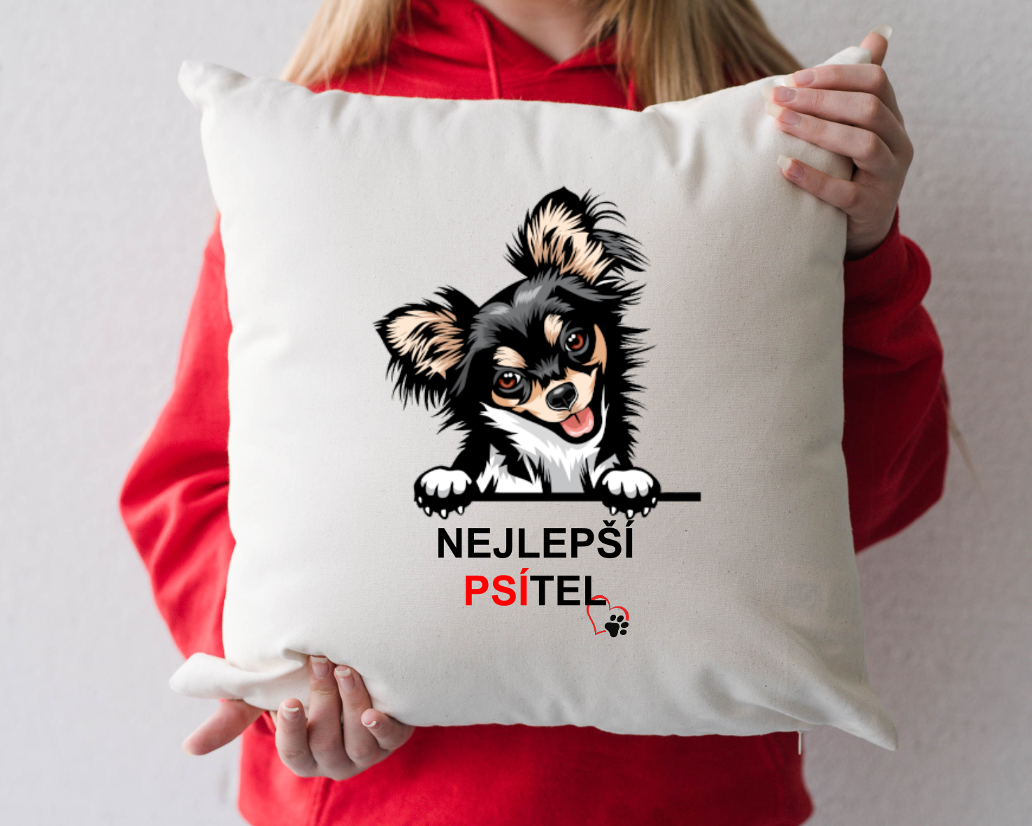 Sada Nejlepší PSÍTEL - Papillion