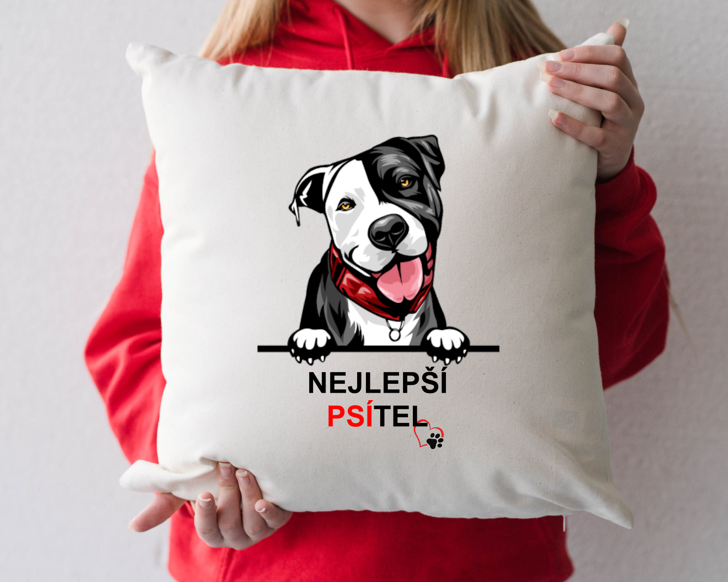 Sada Nejlepší PSÍTEL - Pitbull
