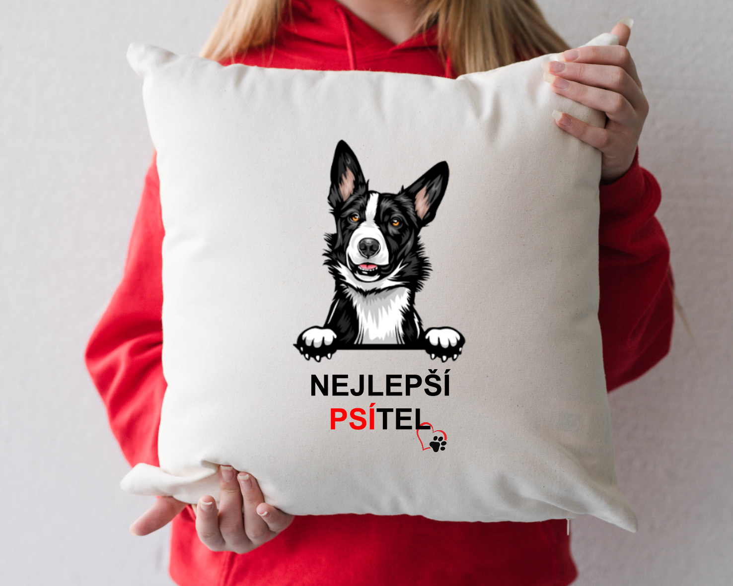 Sada Nejlepší PSÍTEL - Border kolie