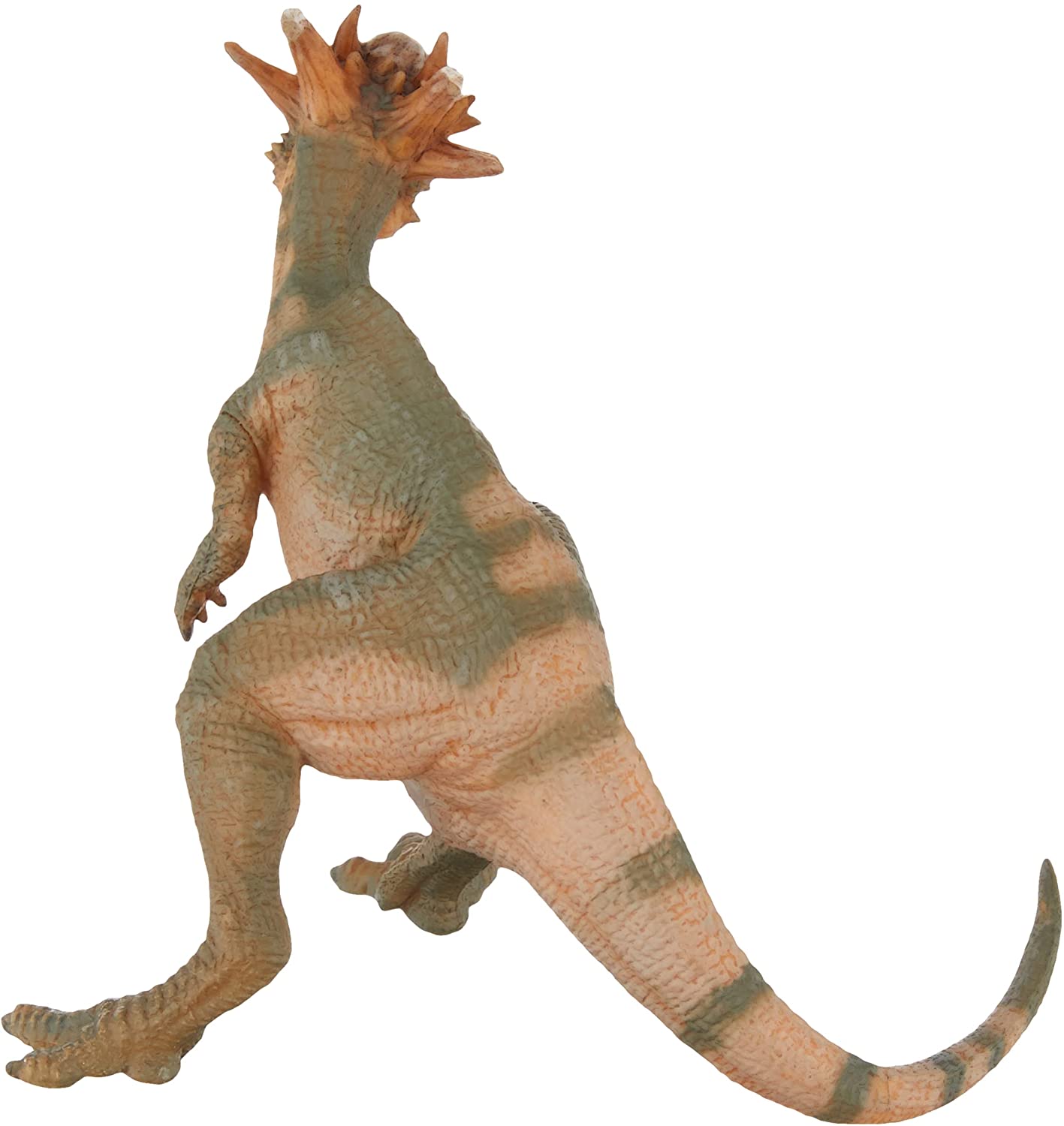Stygimoloch PAPO