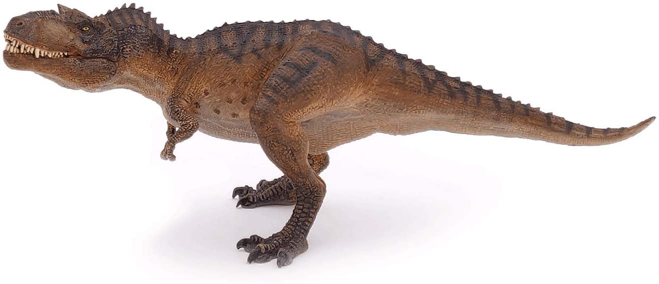 Gorgosaurus PAPO