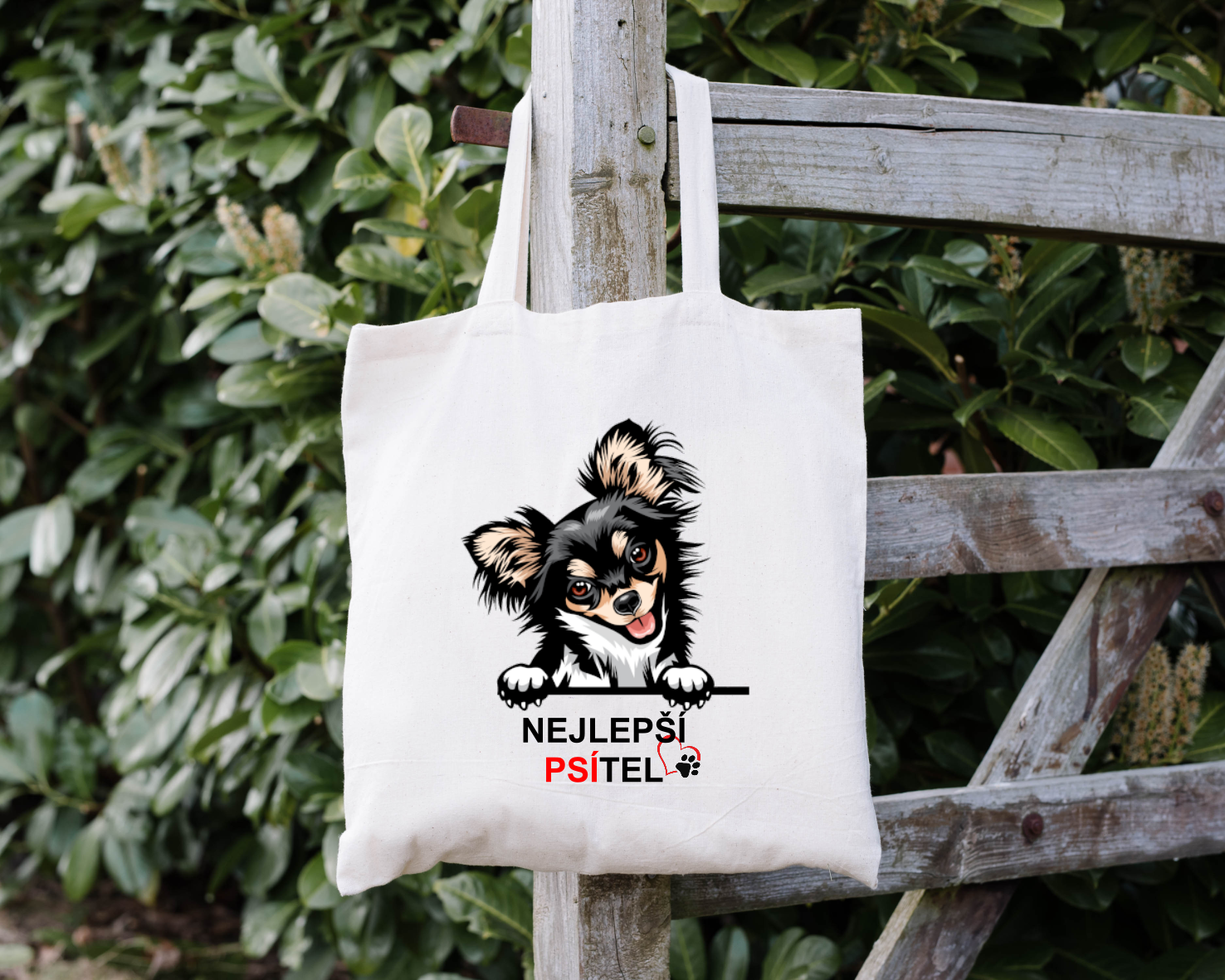 Sada Nejlepší PSÍTEL - Papillion