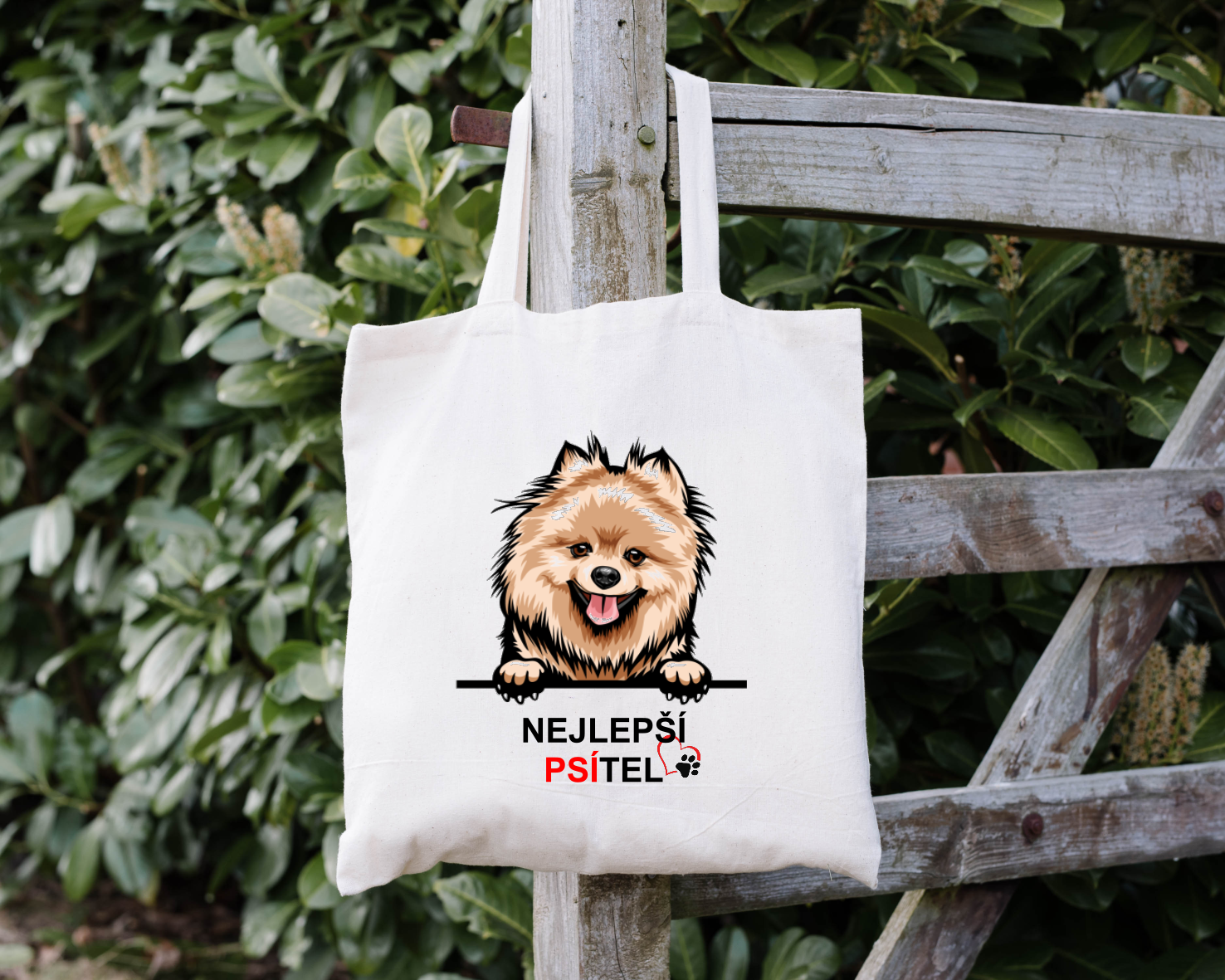 Sada Nejlepší PSÍTEL - Pomeranian