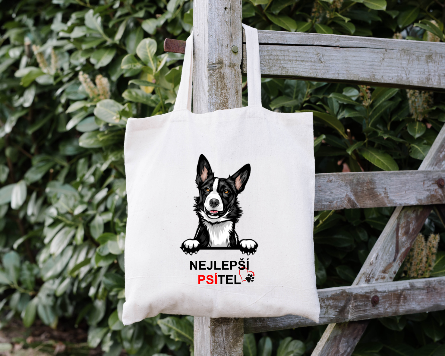 Sada Nejlepší PSÍTEL - Border kolie