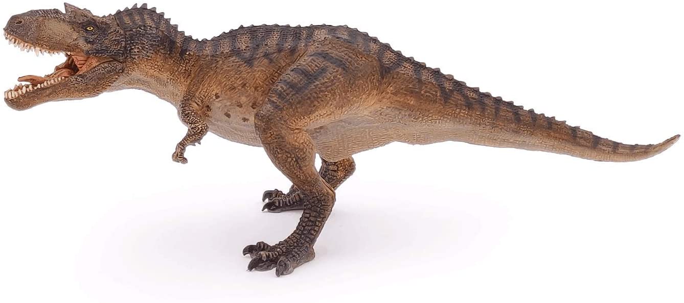Gorgosaurus PAPO