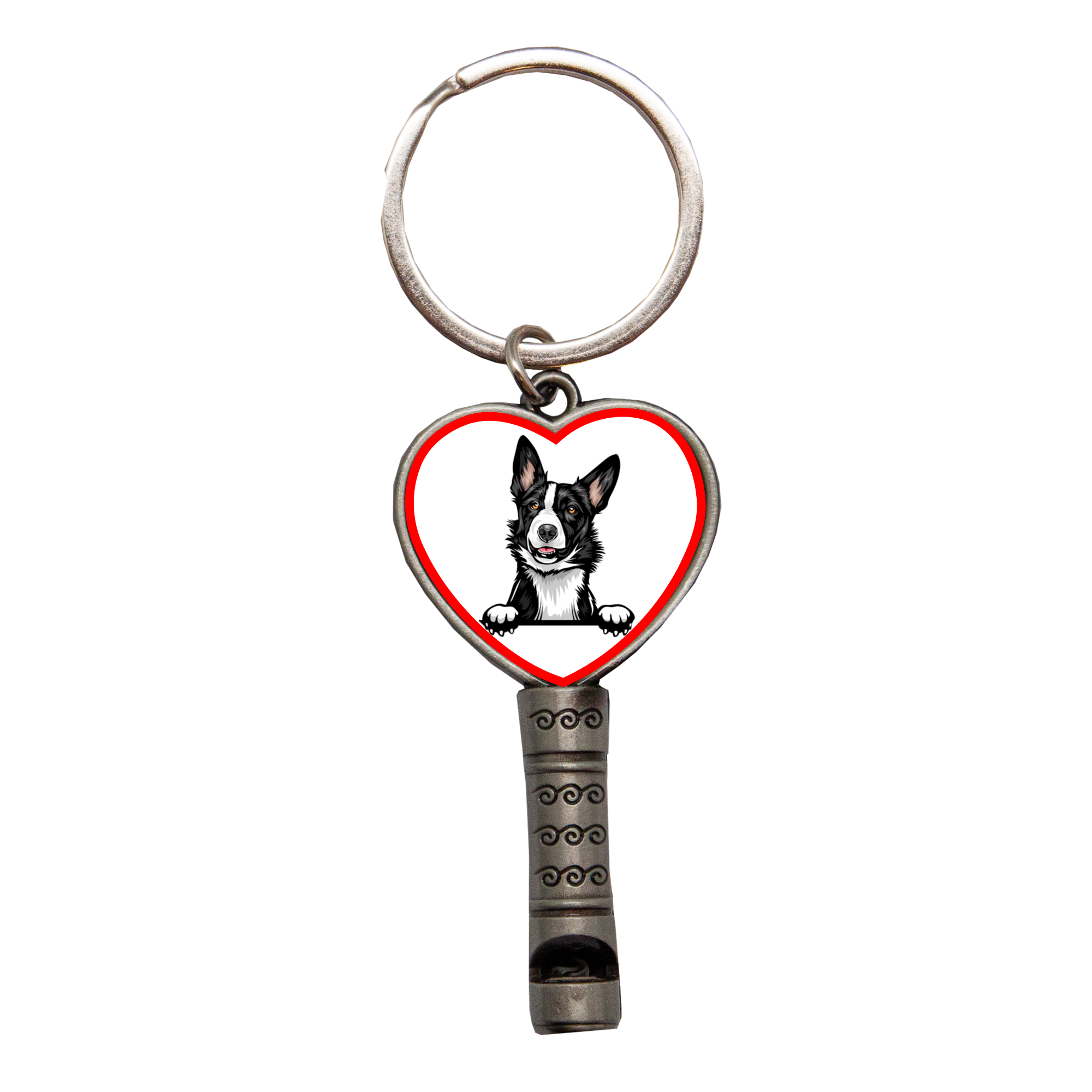 Sada Nejlepší PSÍTEL - Border kolie