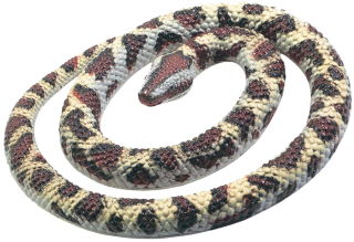 gumový had Krajta písmenková 66cm