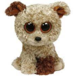  Terrier očka 24 cm