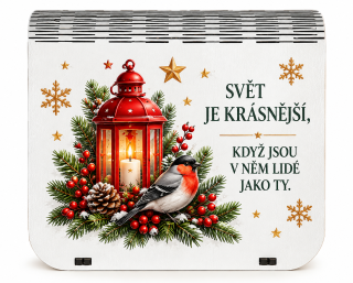 Dárková krabička na bankovky v injekcích - "Svět je krásnější, když jsou v něm lidé jako ty."