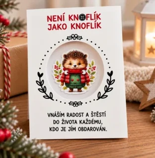 Knoflík štěstí – ježek